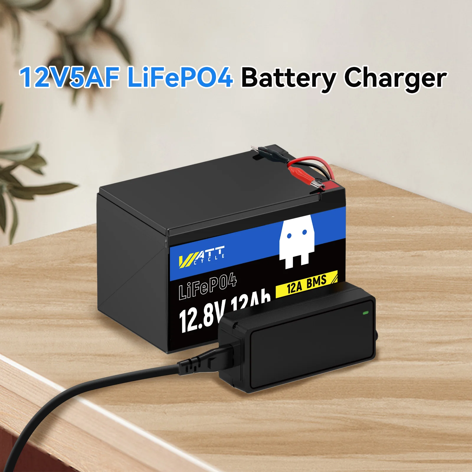 14.6V 5A Plastic Shell LiFePO4 Battery Charger - Image 2