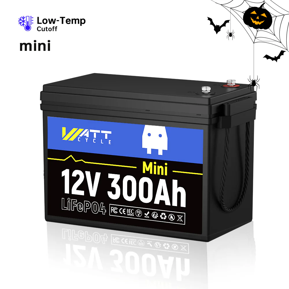 π Like New π 12V / 24V / 48V LiFePO4 Battery - Image 4